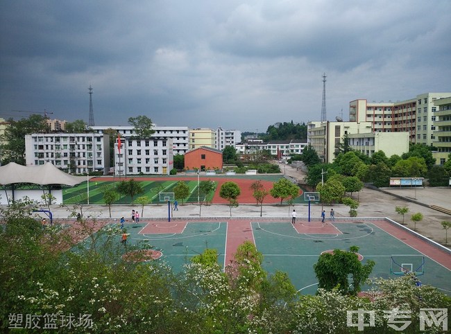 宜宾县柳嘉职业技术学校(柳嘉职业中学)塑胶篮球场