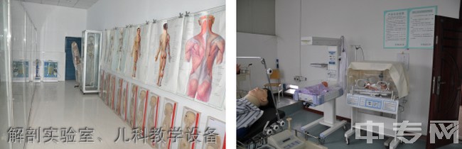 重庆市护士学校（鱼洞护士学校）解剖实验室、儿科教学设备