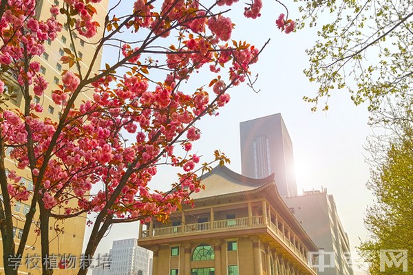 西安音乐学院附属中等音乐学校学校植物栽培