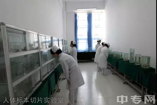 陕西航空医科职业学校-人体标本切片实验室