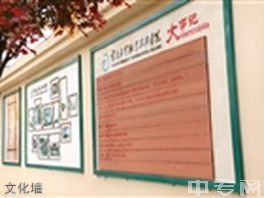 云南林业职业技术学院(五年制大专)-文化墙