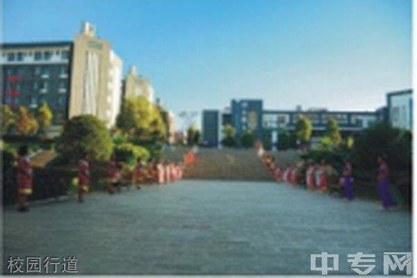 云南城市建设职业学院校园行道