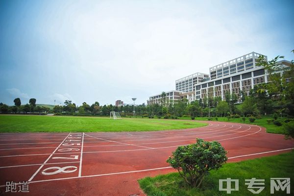 云南工程职业学院(五年制)-跑道