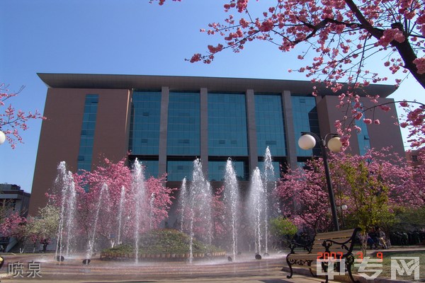 乐山职业技术学院喷泉图片