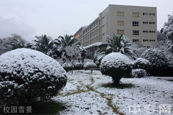 安宁市职业高级中学-校园雪景