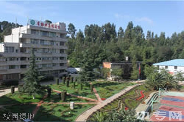 云南省林业高级技工学校(公办)-校园绿地