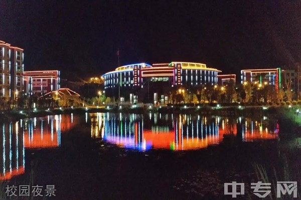 大理护理职业学院[专科]-校园夜景