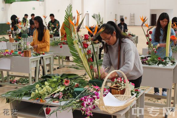 大理农林职业技术学院花艺