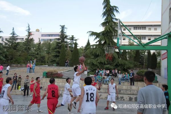 昭阳区高级职业中学-校园篮球