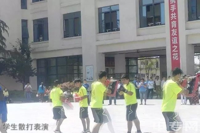 西安市苏克锋武术文化职业学校-学生散打表演