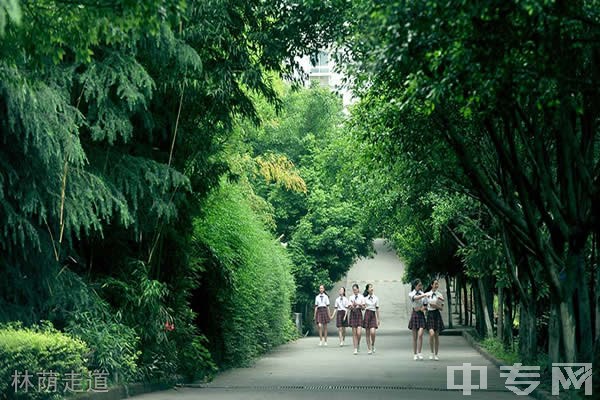 重庆女子职业高级中学-林荫走道