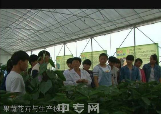 礼泉县职教中心果蔬花卉与生产技术