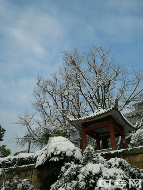 四川省盐业学校-校园雪景