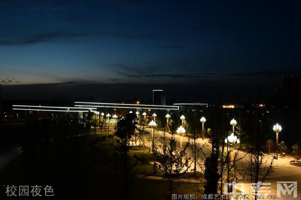 成都艺术职业学院(西翔学院)-校园夜色