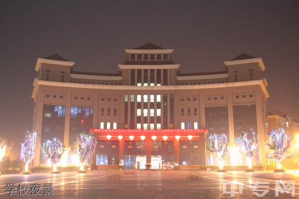 重庆医药卫生学校(涪陵卫校)-学校夜景