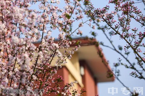 四川省卫生学校-校园景色--春分