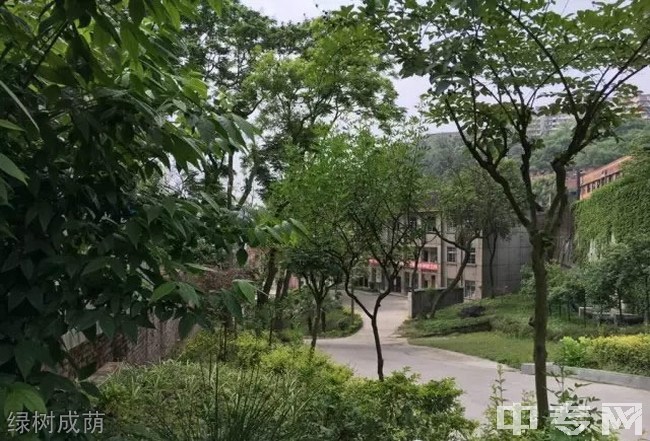 自贡市大安职业技术学校(大安职教中心)绿树成荫