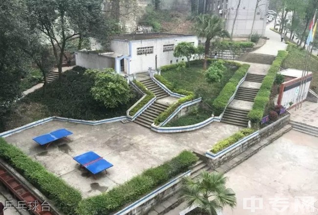 自贡市大安职业技术学校(大安职教中心)乒乓球台