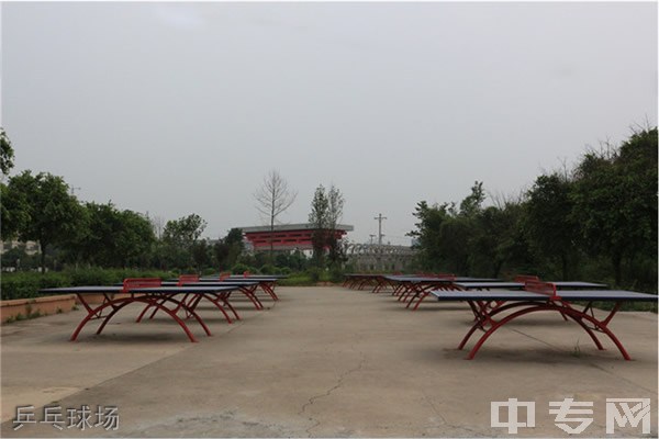 重庆市大足职业教育中心-乒乓球场