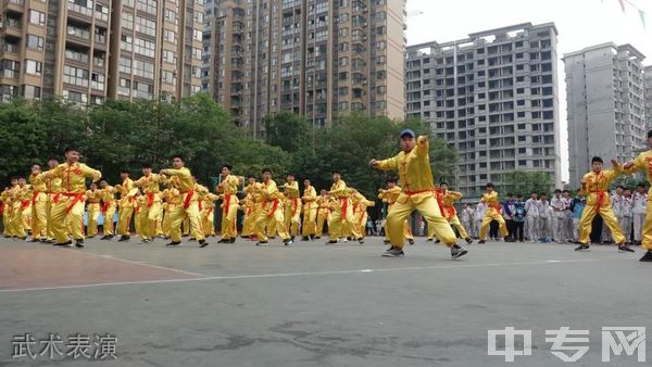 四川交通运输职业学校（四川交通技师学院）-武术表演