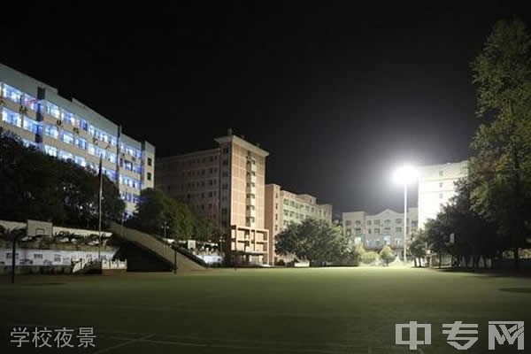 武隆县职业教育中心-学校夜景