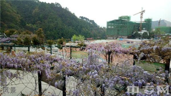 黔东南技师学院(黔东南州工业学校)-风景