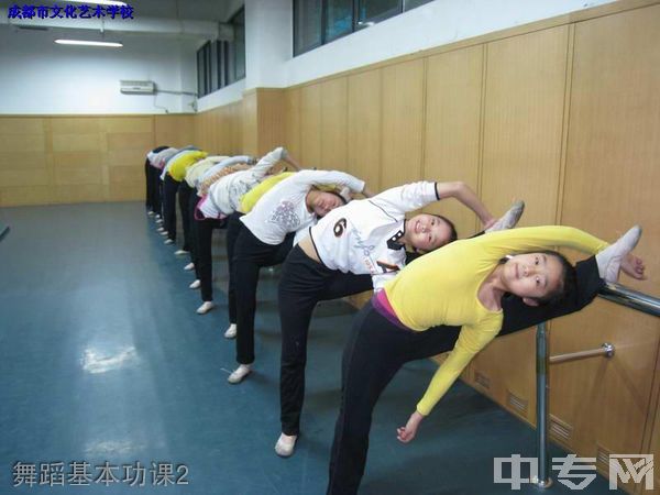 成都市文化艺术学校-舞蹈基本功课2