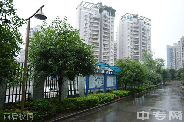 重庆两江职业教育中心-雨后校园