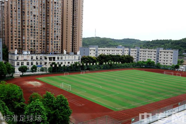 四川省简阳市高级职业中学标准足球场