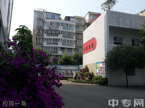 成都市天府新区成人中等专业学校-校园一角