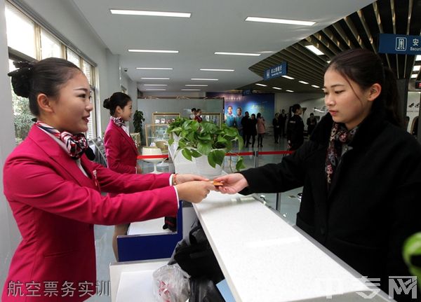 简阳市机电工程学校-航空票务实训