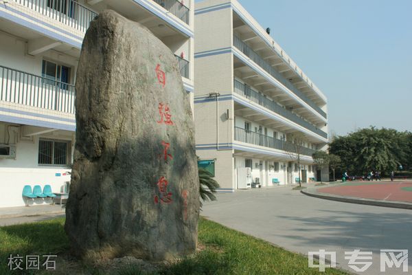 成都市洞子口职业高级中学校(成都四十四中学)-校园石