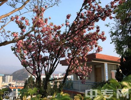 贵州盘江投资控股（集团）有限公司技工学校风景