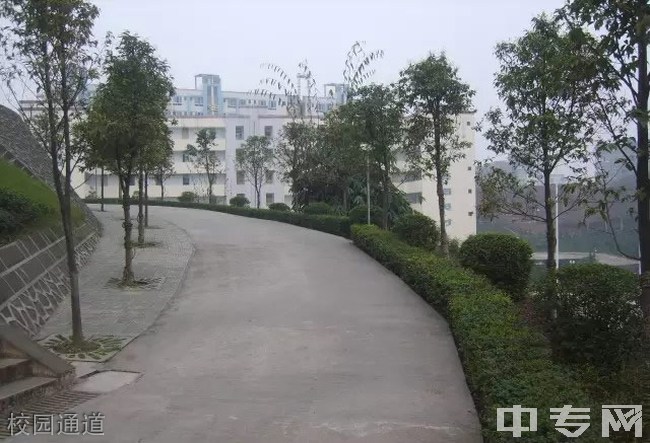 四川省长宁县职业技术学校(长宁县职校)-校园通道