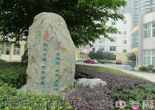 成都市青苏职业中专学校-校园石（东坡老校区）