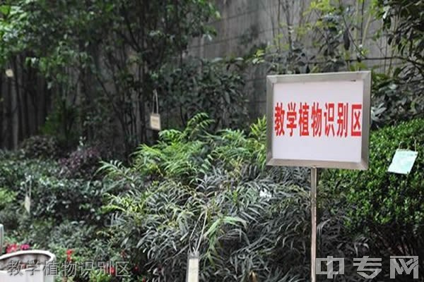 重庆市风景园林技工学校-教学植物识别区