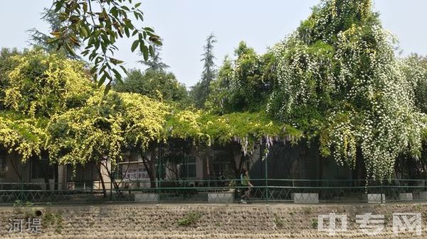 成都青华职业学校-河堤