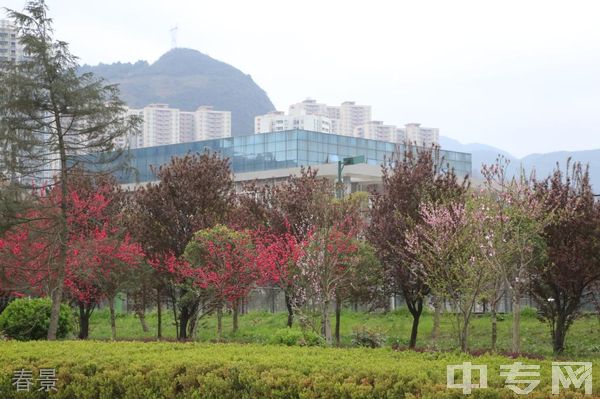 六盘水职业技术学院[专科]-春景