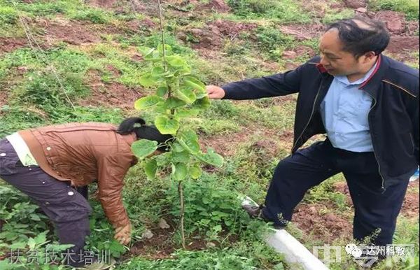 宣汉县毛坝职业技术学校扶贫技术培训