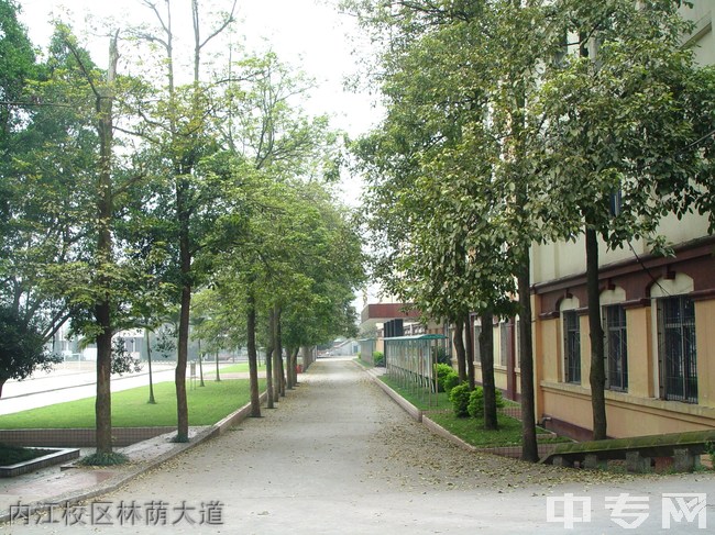 内江铁路机械学校（内江铁技校）内江校区林荫大道