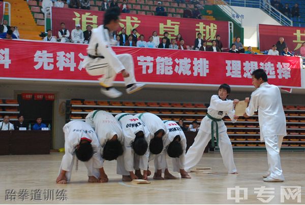 广安市康泉文化武术学校-跆拳道训练