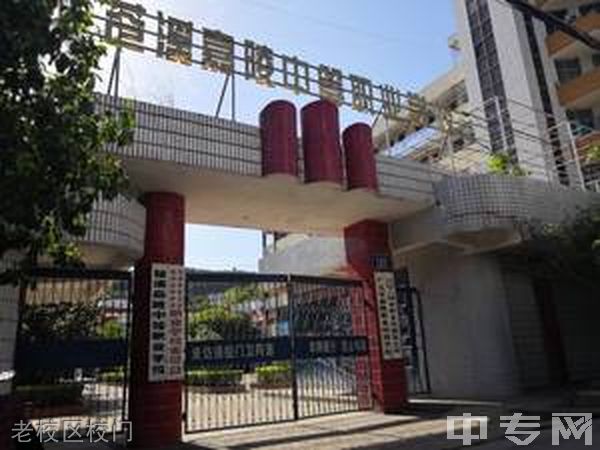 四川省苍溪嘉陵中等职业学校-老校区校门