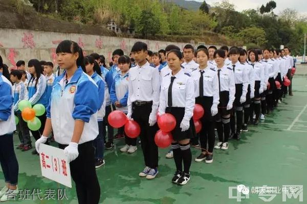 四川省广元市朝天职业中学-各班代表队