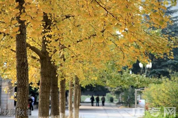 四川核工业技师学院-校园秋意