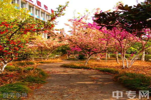 四川水利水电技师学院(广元水利电力机械工程学校)-群芳争艳