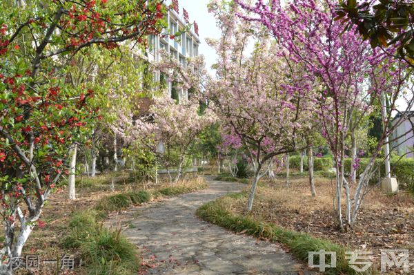 四川水利水电技师学院(广元水利电力机械工程学校)-校园一角