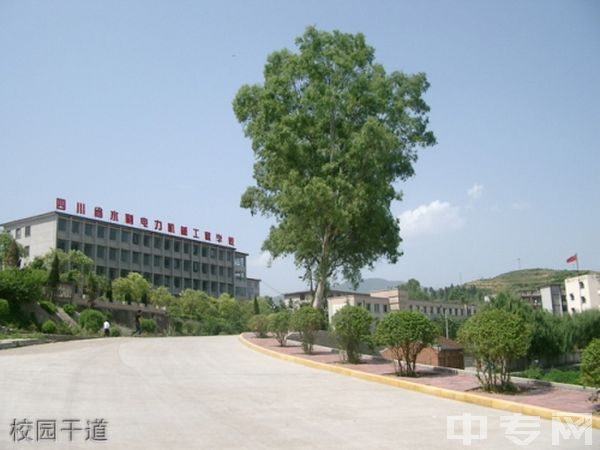 四川水利水电技师学院(广元水利电力机械工程学校)-校园干道