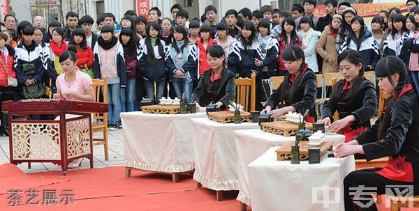 仁寿县第二高级职业中学（仁寿县职业教育中心）-茶艺展示