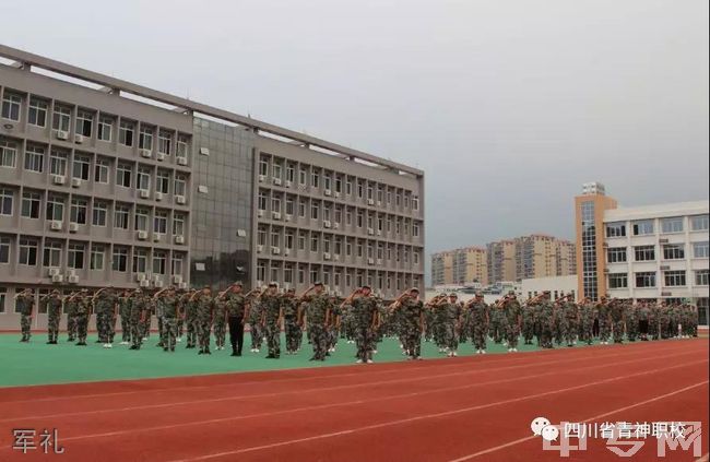 四川省青神中等职业学校-军礼