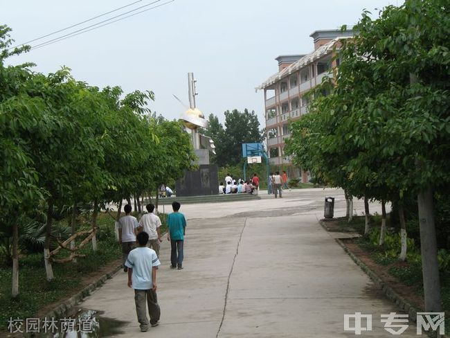 四川省盐亭县职业技术学校-校园林荫道